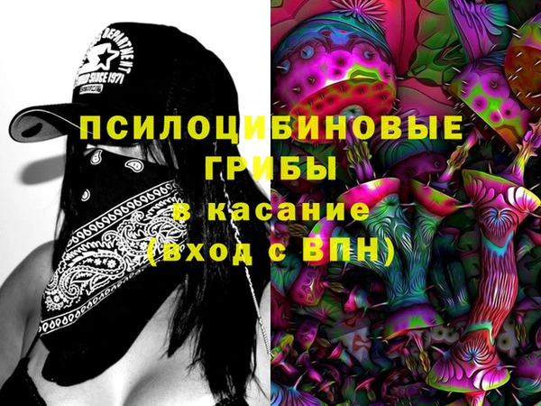 амф Чекалин