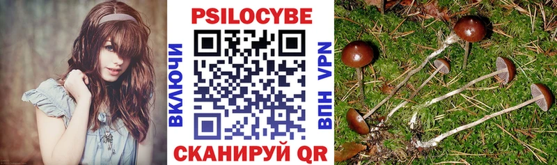 Псилоцибиновые грибы мухоморы Кочубеевское